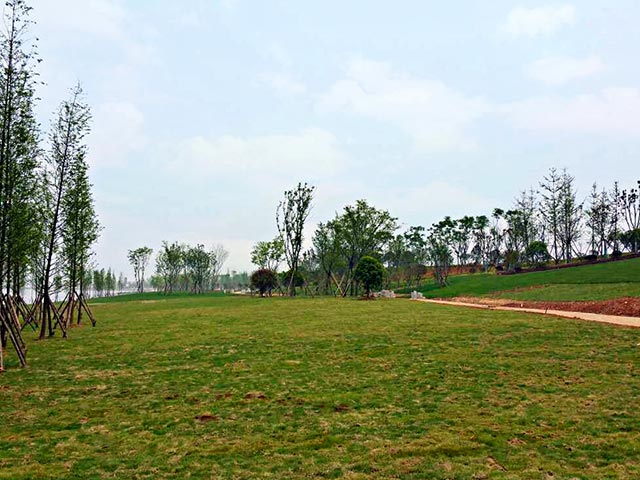 益陽(yáng)市資陽(yáng)區兩岸項風(fēng)貌帶提質(zhì)改造工程